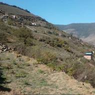 زمین ییلاقی واقعا در سوادکوه