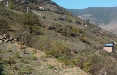 زمین ییلاقی واقعا در سوادکوه