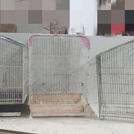 4 عدد قفس پرنده