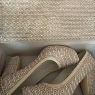 کیف و کفش ست نگینی