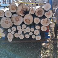 خریدار انواع چوب درختان صنوبر میوه و غیره