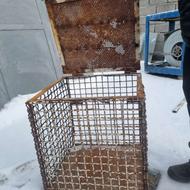 قفس برای نگهداری حیوانات