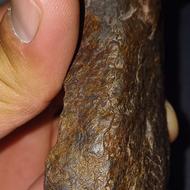 فروش شهاب سنگ کندریت کربنی