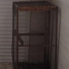 قفس مرغ و جوجه