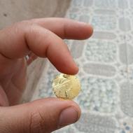 چندعددسکه برنجی