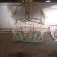 قفس بزرگ سالم