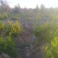 حفرنصب و راه اندازی چاه عمیق