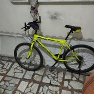 دوچرخه درحد