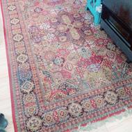 یک جفت فرش 6متری فقط شستن میخواد