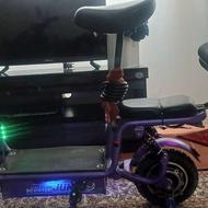 اسکوتر برقی حرفه ایی