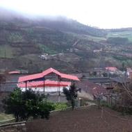 فروش زمین کشاورزی 3000 متر در دروپی