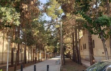 فروش 100متری ال محمد