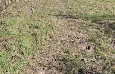 فروش زمین مسکونی ،زراعی داخل طرح 2200مترسنگر