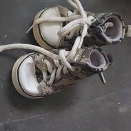 وسایل سگ تریر