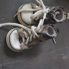 وسایل سگ تریر