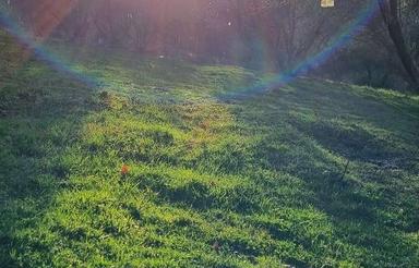 فروش 2000 متر باغ