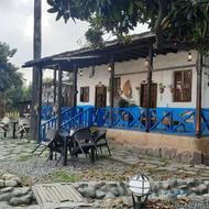 سالن داری و کمک به مدیر داخلی رستوران