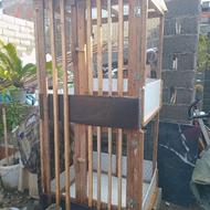 قفس لاری و مرغ و جوجه