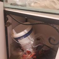 آکواریوم ماهی