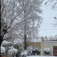 استخدام زوج جوان بدون فرزند برای سرایداری