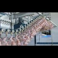 غذای سگ مرغ کامل