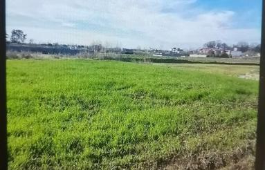 فروش زمین باغی و کشاورزی