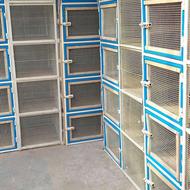 جفت کن کبوتران دو رقمی