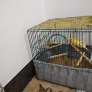 قفس زیباومحکم بدون هیچ ایراد