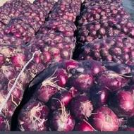 فروش پیاز قرمز با گونی 25 کیلو هر گونی 400هزار