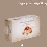 صابون قارچ گانودرما ضدپیری