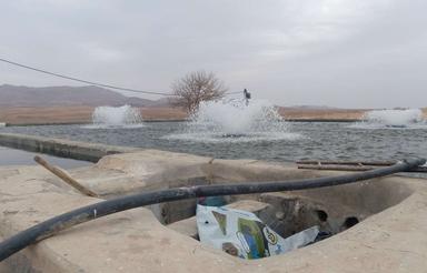 دودانگ موتوراب ومزرعه ازشش دانگ