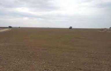 زمین زراعی آبی درجه 1