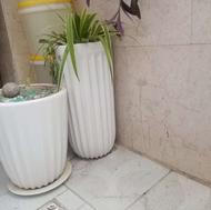 گلدون دوعدد