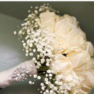 خدمات فیلمبرداری و عکاسی مجالس