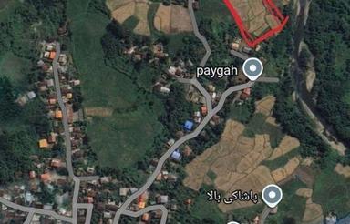 شالیزار چسبیده به مسکونی