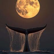 همکار خانم مجرد