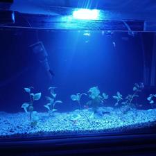 فروش اکواریوم