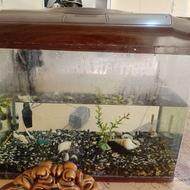 آکواریوم با تمام امکانات از جمله اکسیژن و بخاری و لامپ