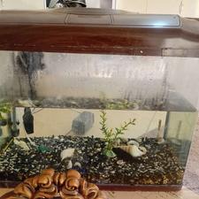 آکواریوم با تمام امکانات از جمله اکسیژن و بخاری و لامپ