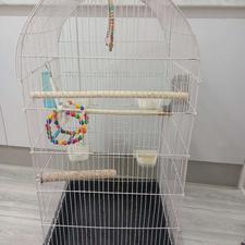 قفس بزرگ پرنده