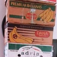 کارتن موز و کارتن تلویزیون کوچک