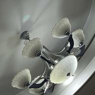 دوعدد لوستر