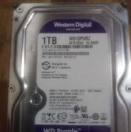 یک عدد هارد یک ترابایت بنفش ساخت تایلند