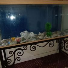 اکواریوم ومیز فرفورژه