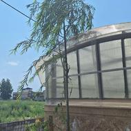 خانم مجرد جهت پخت پز همراه با اسکان