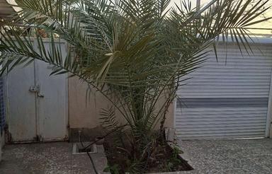 سوئیت منزل خانه(شهر حاجی آباد)