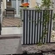 فروش فوری واحد