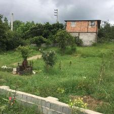 ویلا 860 متری با دوتا چاه درخت 15 ساله و چهار ساله بر 60 متر