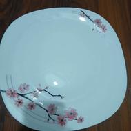 4 دست ارکوپال دستی