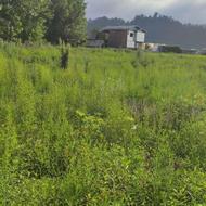 دوقطعه زمین 300 متری با بر 24 متر، در روستای کاربند